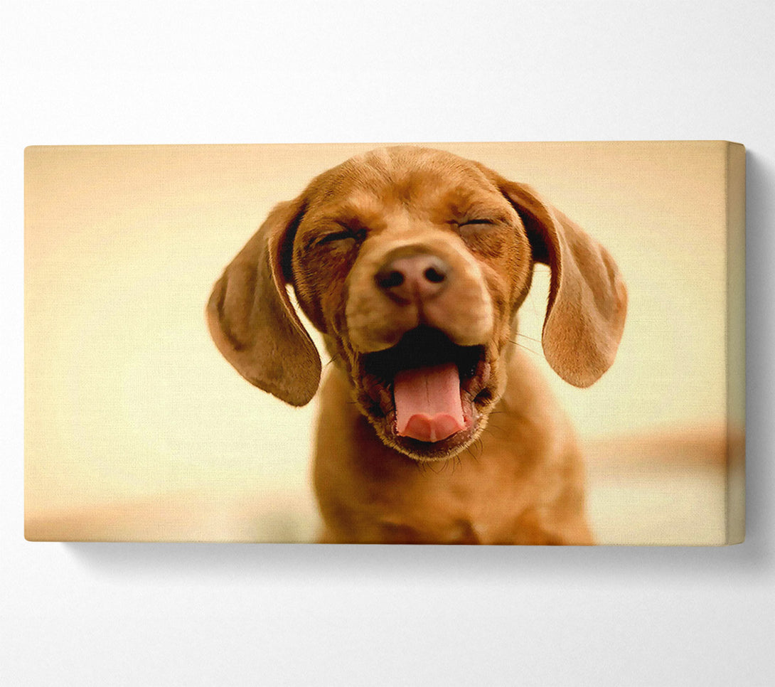  A Canvas Print of Funny Dog Canvas Wall Art