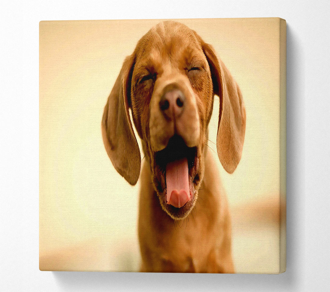  A Canvas Print of Funny Dog Canvas Wall Art