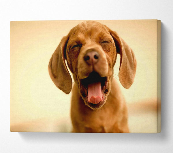  A Canvas Print of Funny Dog Canvas Wall Art