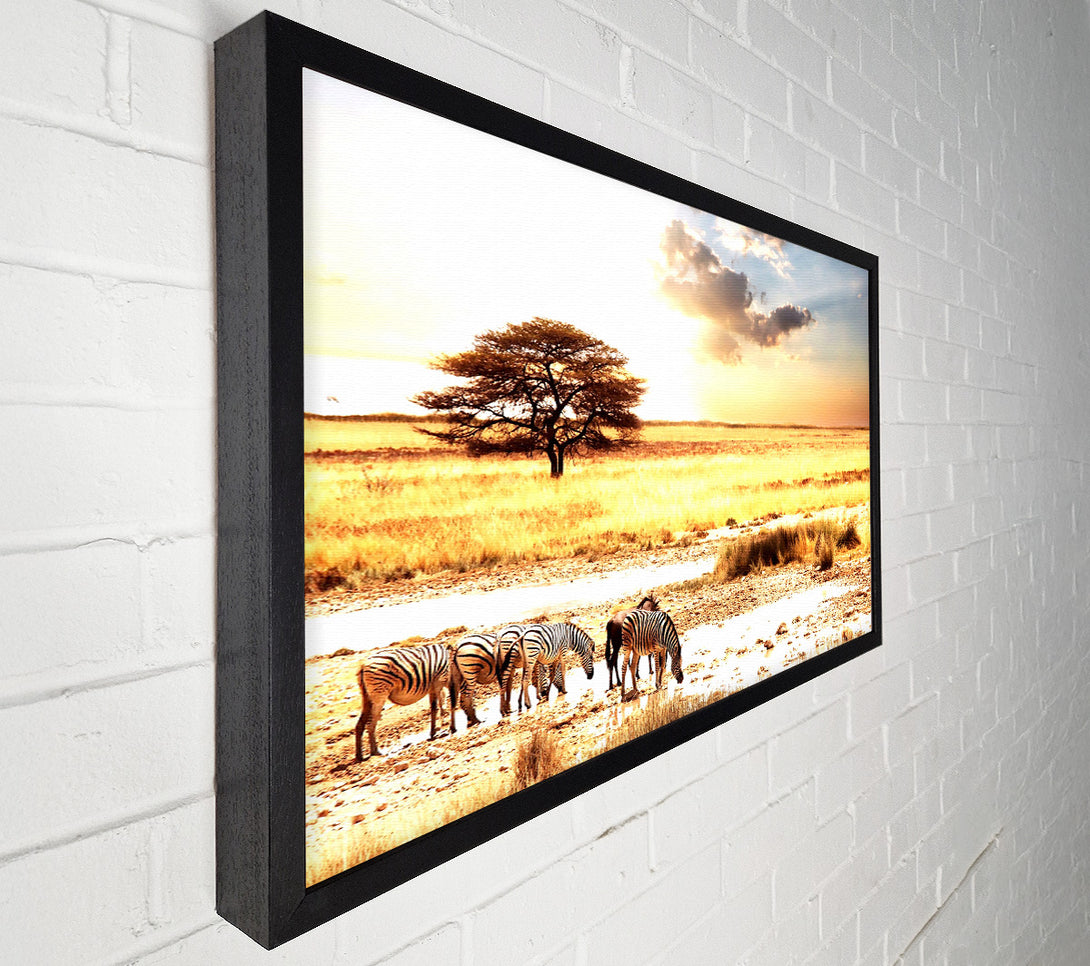  A Canvas Print of Herd Of Zebras Canvas Wall Art