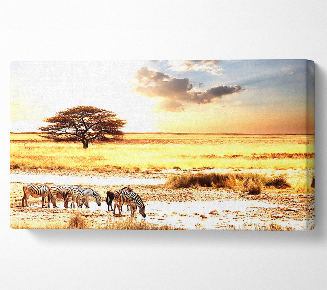  A Canvas Print of Herd Of Zebras Canvas Wall Art