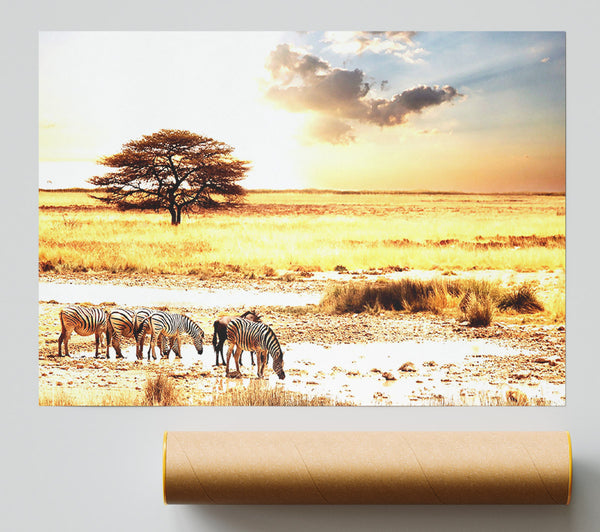 Herd Of Zebras Print