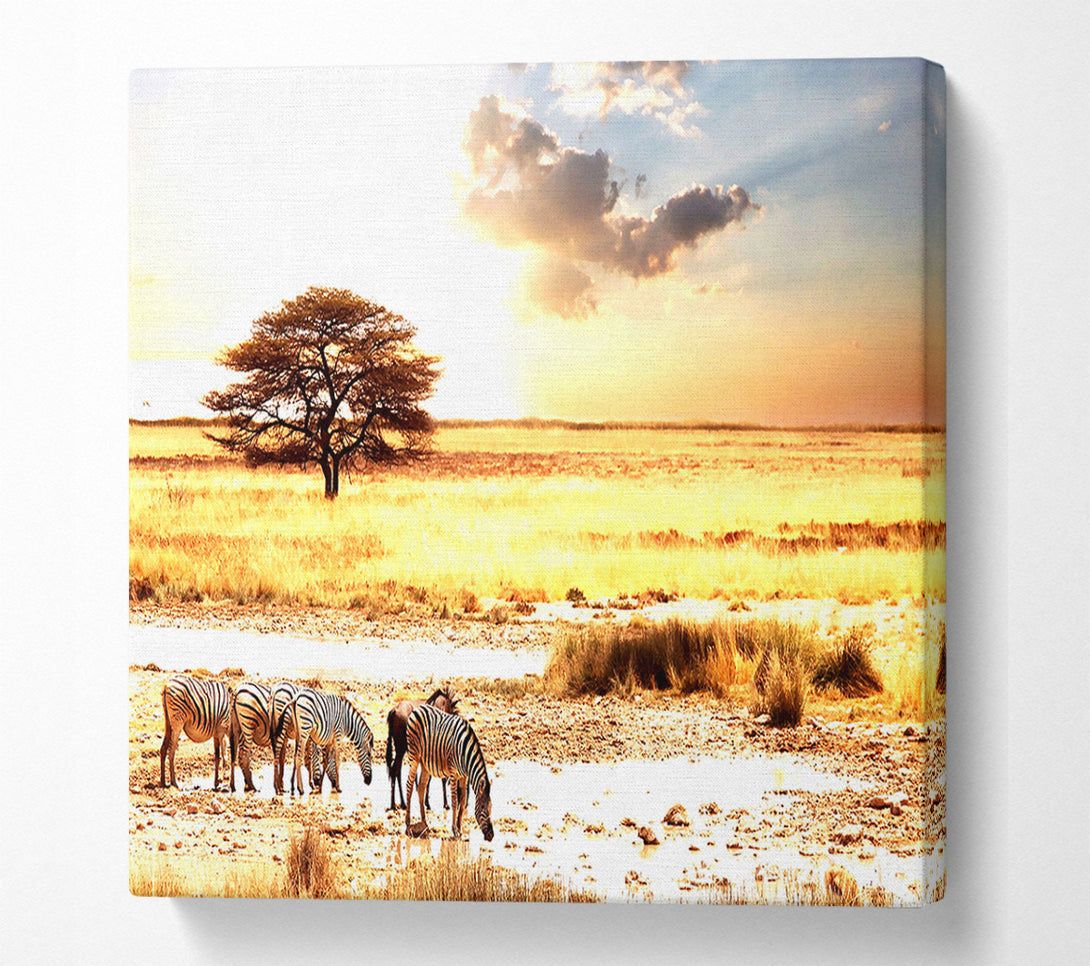 A Canvas Print of Herd Of Zebras Canvas Wall Art