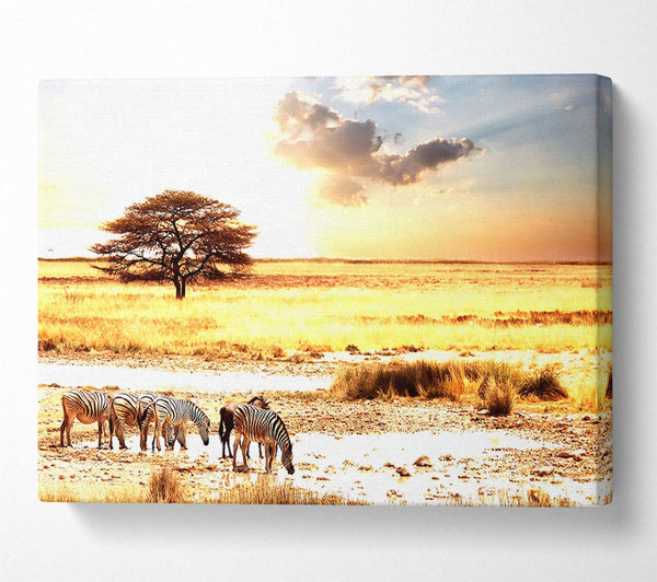  A Canvas Print of Herd Of Zebras Canvas Wall Art