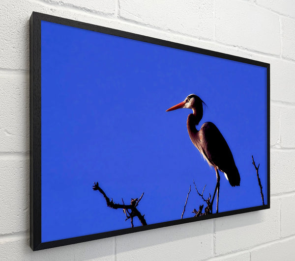 Heron Watch