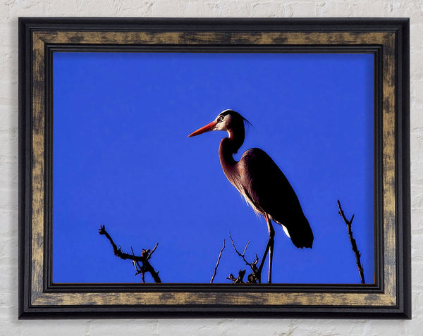 Heron Watch Framed Print