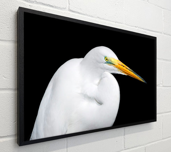 Herons Reach
