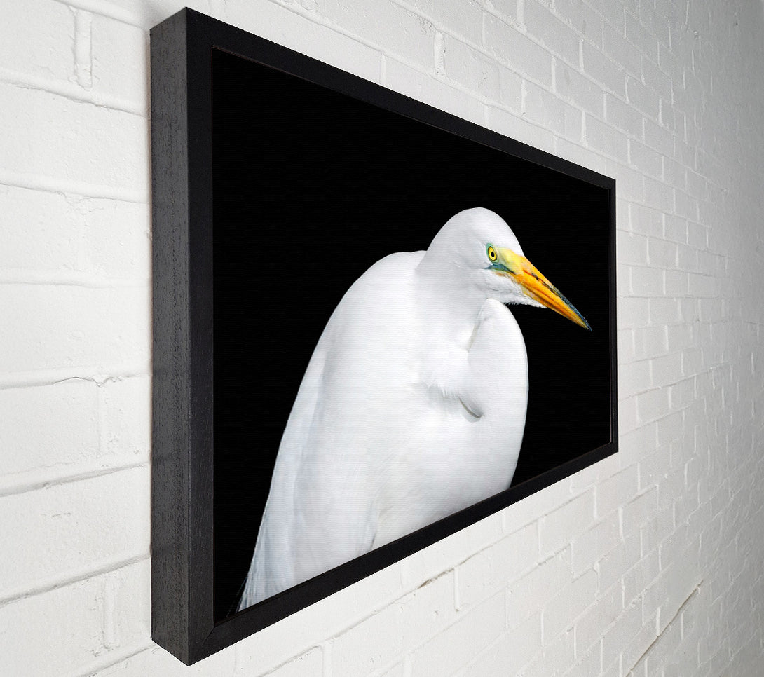 A Canvas Print of Herons Reach Canvas Print