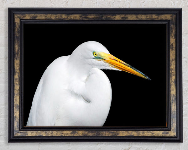 Herons Reach Framed Print
