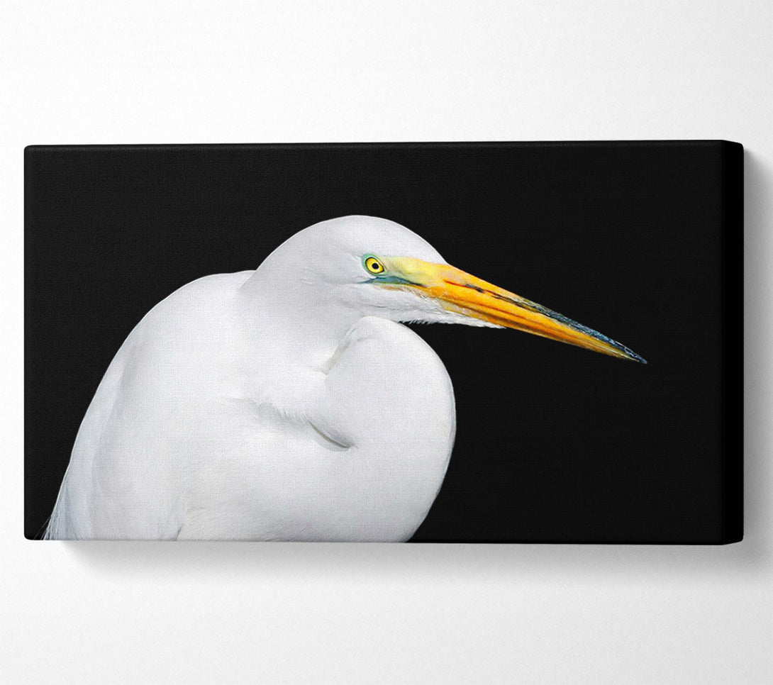 A Canvas Print of Herons Reach Canvas Print