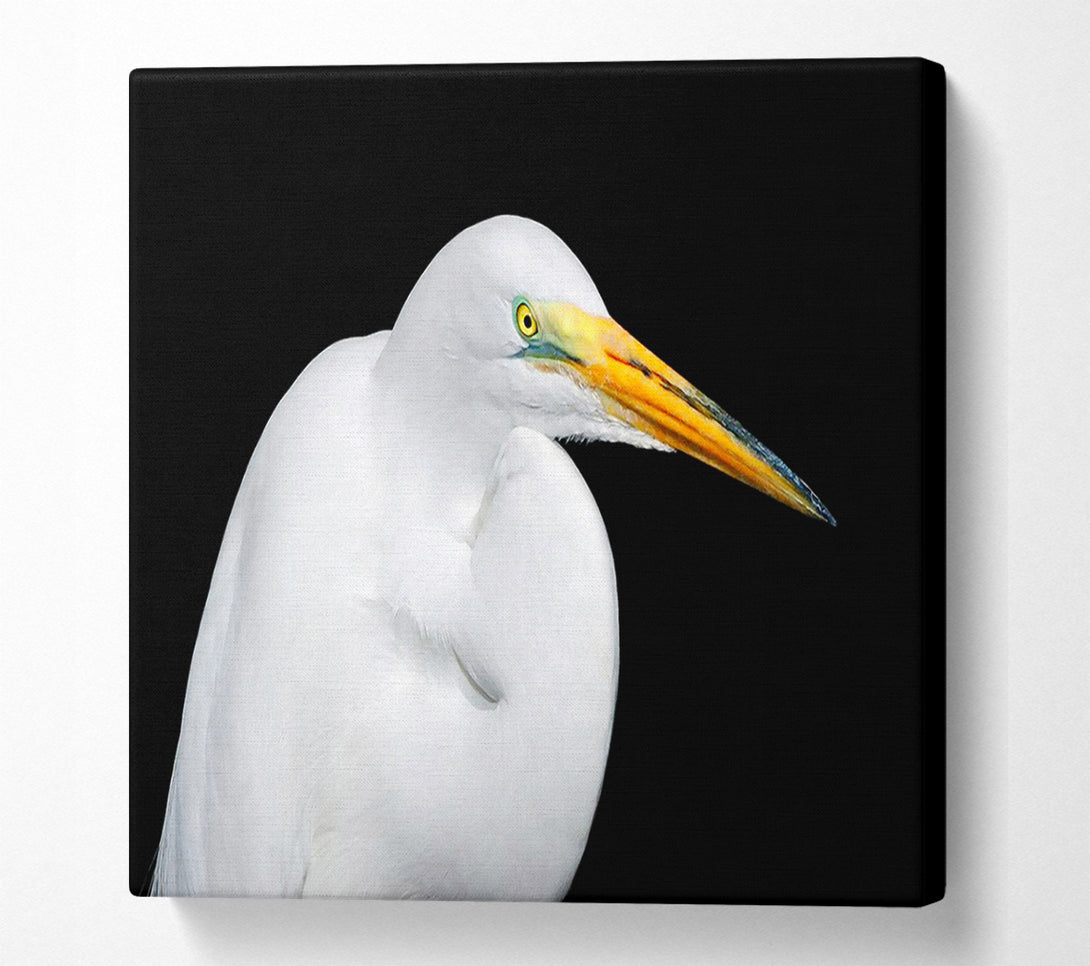  A Canvas Print of Herons Reach Canvas Print