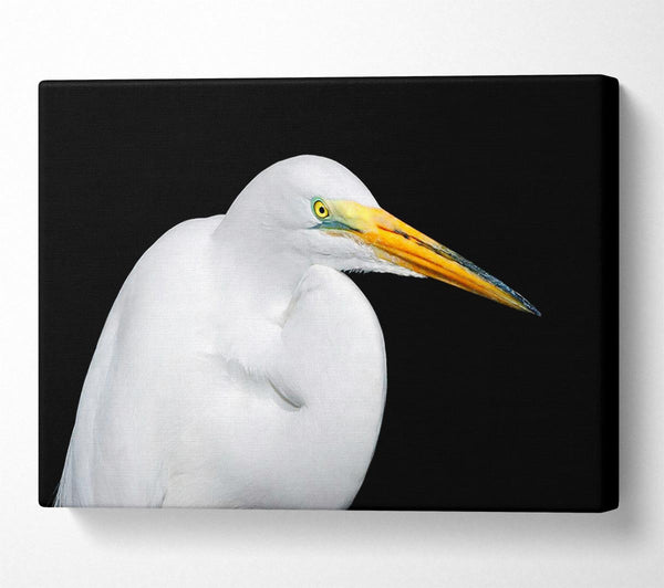  A Canvas Print of Herons Reach Canvas Print