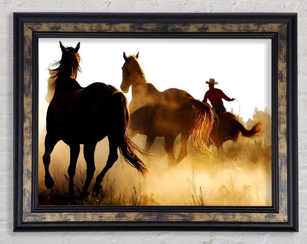 Horses-Running At Sunset Framed Print