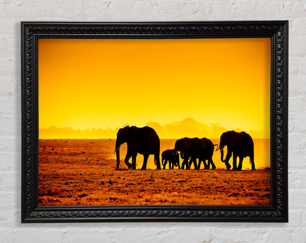 Hurd Of Elephants Framed Print