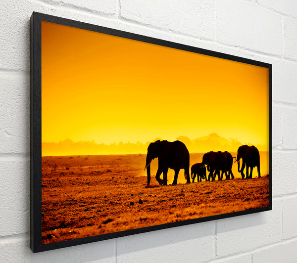 Hurd Of Elephants