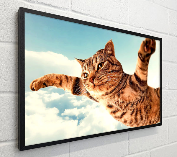 I Believe I Can Fly Cat