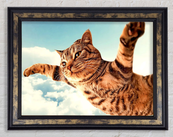 I Believe I Can Fly Cat