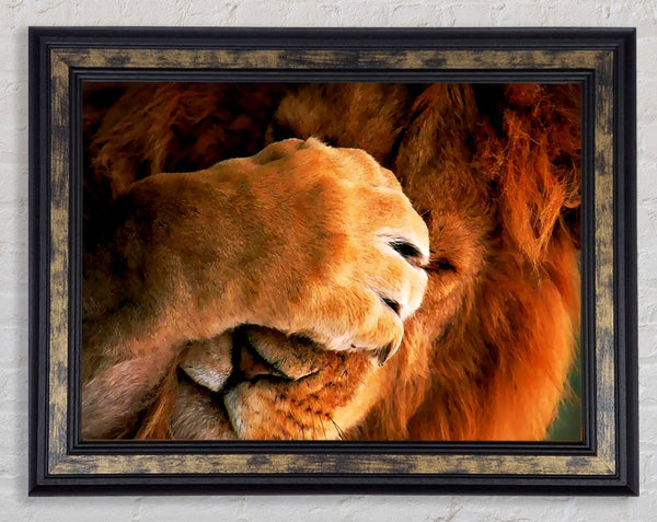I Hate Mondays Lion Framed Print