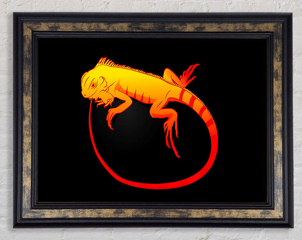 Iguana 2 Framed Print