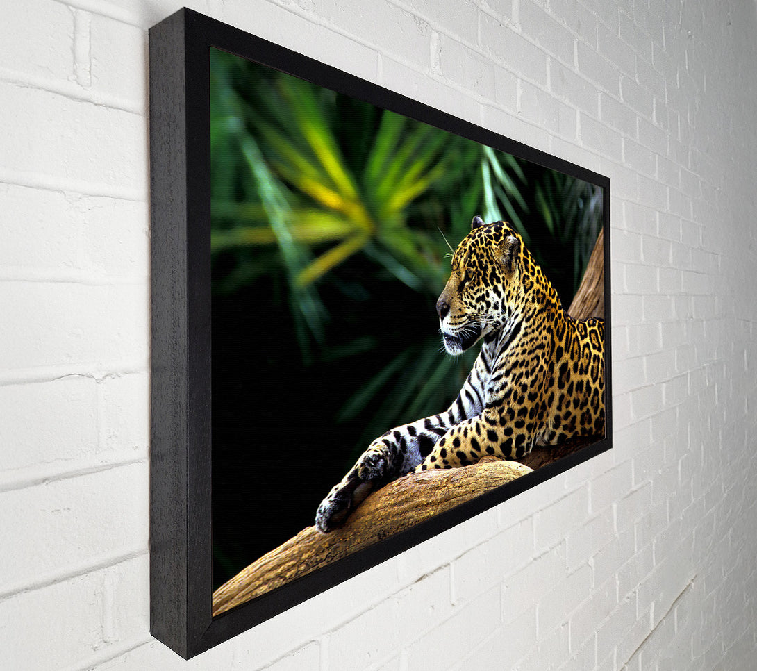  A Canvas Print of Jaguar In The Amazon Rainforest Canvas Print