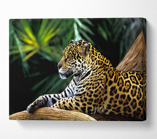 Jaguar In The Amazon Rainforest Canvas Wall Art