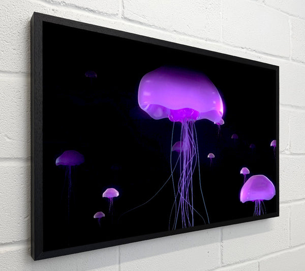 Jellyfish Lights Up The Ocean