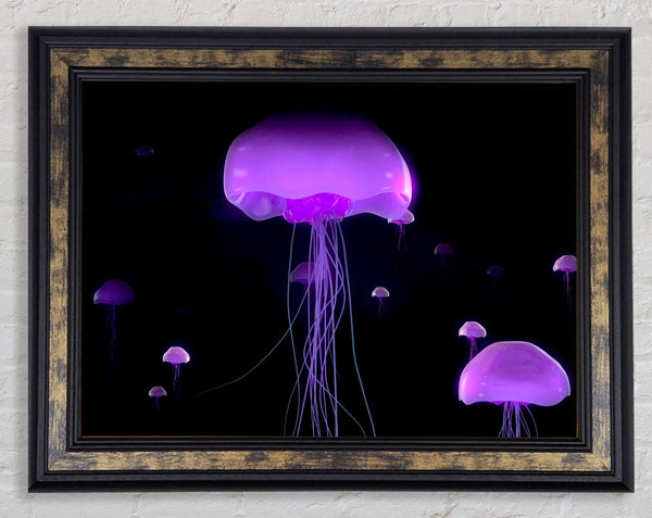 Jellyfish Lights Up The Ocean
