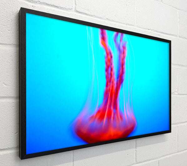 Jellyfish Movement