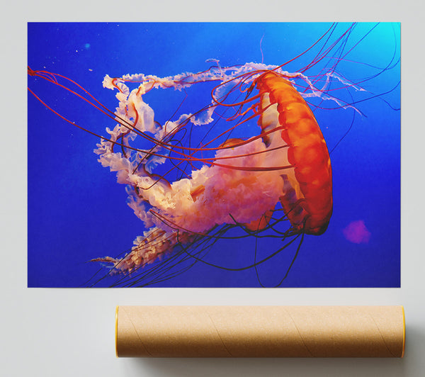 Jellyfish Ocean Giclee Print