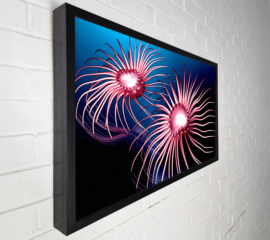  A Canvas Print of Jellyfish Swirl Canvas Wall Art