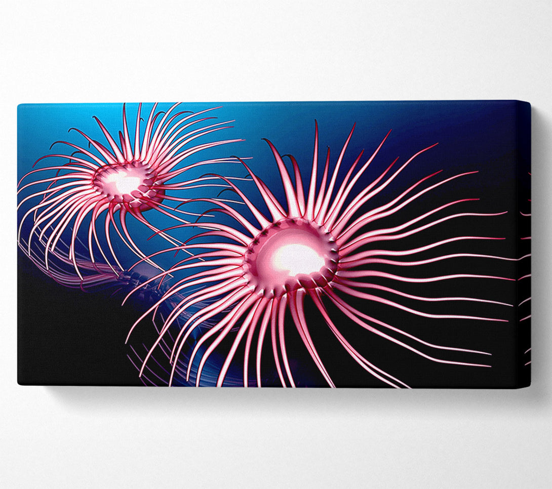 A Canvas Print of Jellyfish Swirl Canvas Wall Art