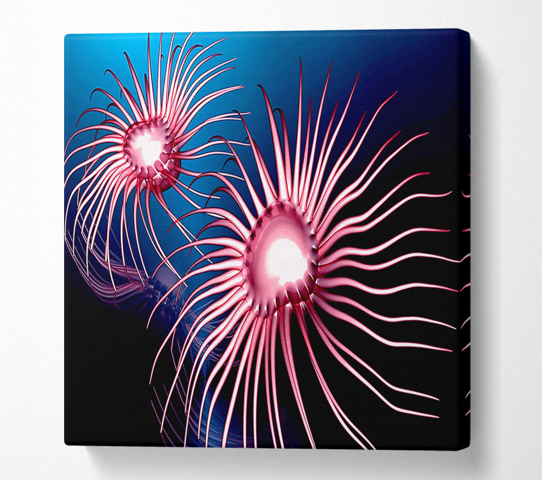  A Canvas Print of Jellyfish Swirl Canvas Wall Art