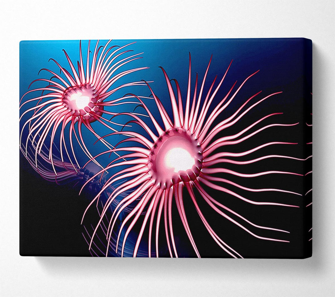  A Canvas Print of Jellyfish Swirl Canvas Wall Art