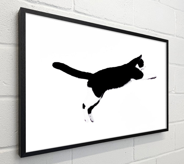 Jumping Cat
