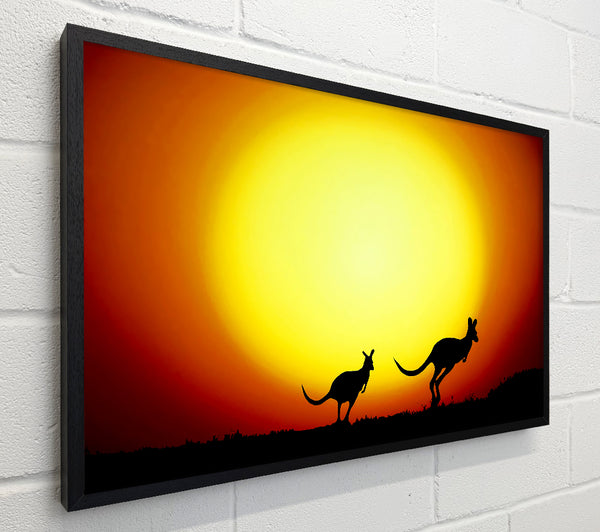 Kangaroos By Sunlight
