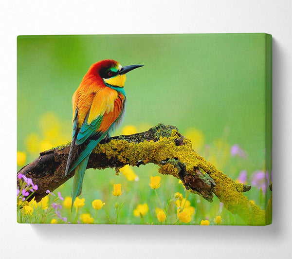  A Canvas Print of Kingfisher Wild Flowers Canvas Wall Art