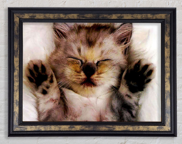 Kitten Love Framed Print