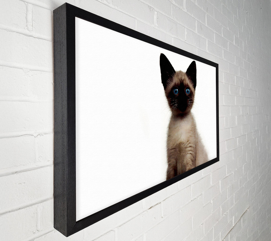  A Canvas Print of Kitten Mischief Canvas Art