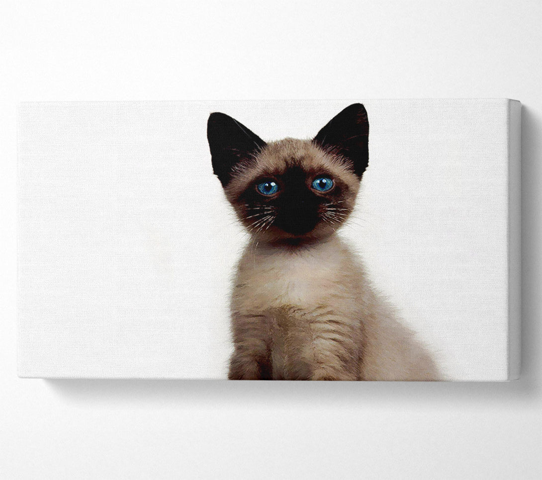  A Canvas Print of Kitten Mischief Canvas Art