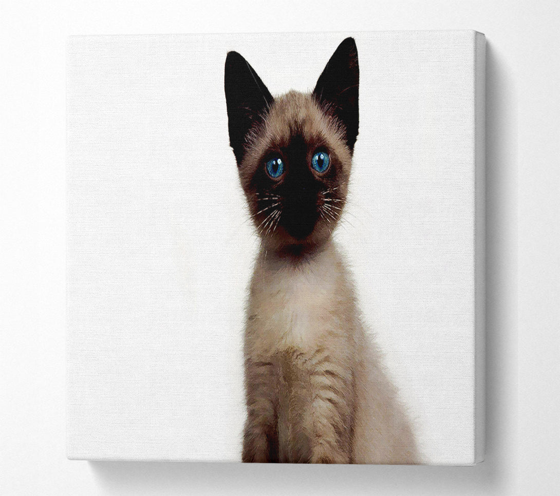  A Canvas Print of Kitten Mischief Canvas Art