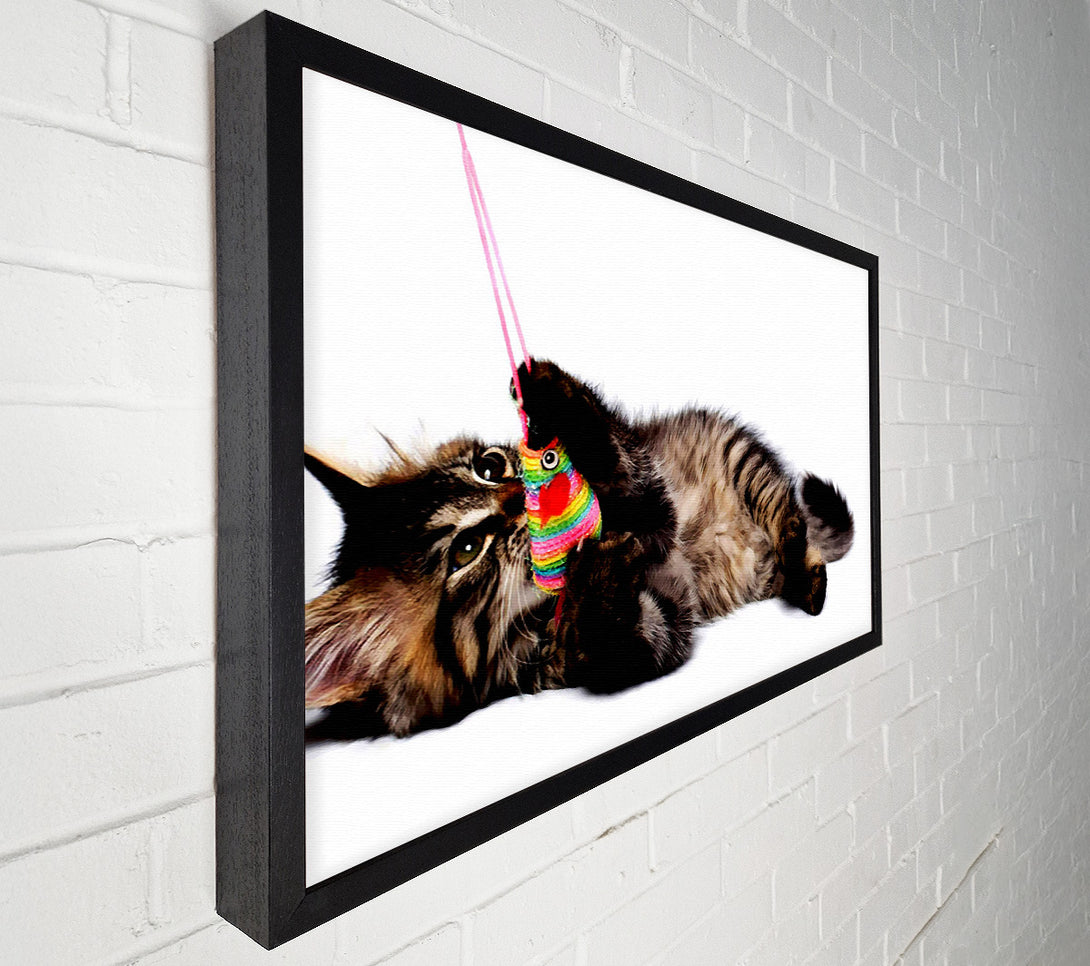  A Canvas Print of Kitten Play Canvas Wall Art