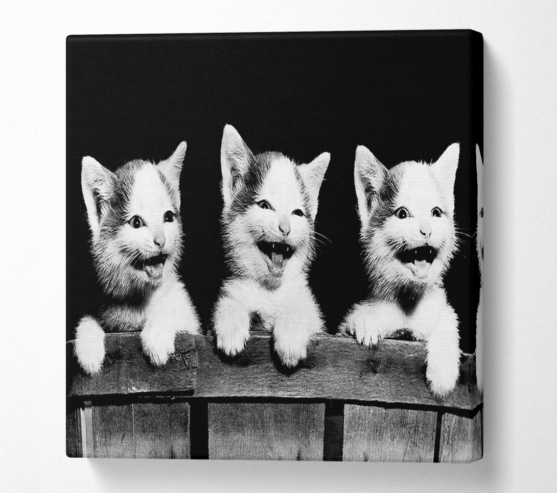  A Canvas Print of Laughing Kittens Canvas Art