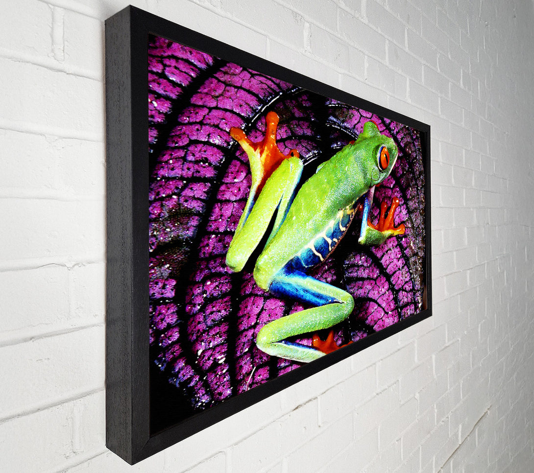  A Canvas Print of Leap Frog Canvas Print