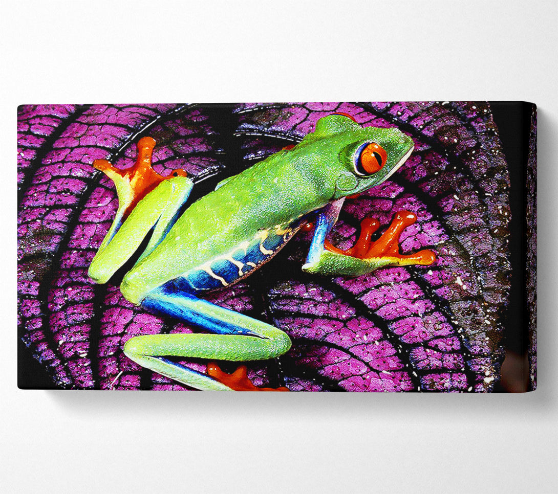  A Canvas Print of Leap Frog Canvas Print