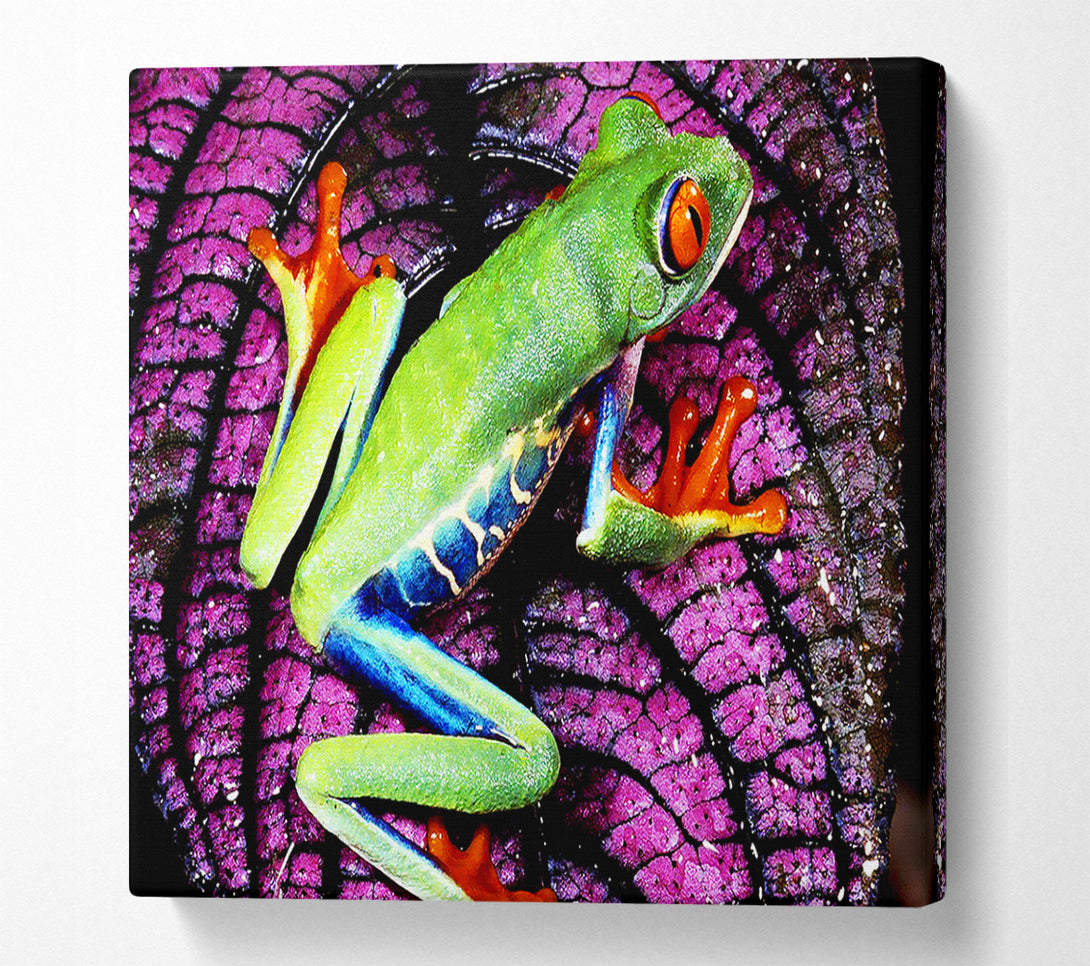  A Canvas Print of Leap Frog Canvas Print