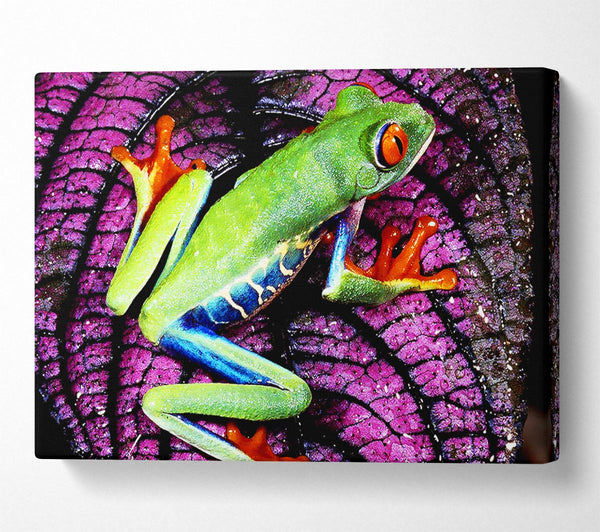  A Canvas Print of Leap Frog Canvas Print