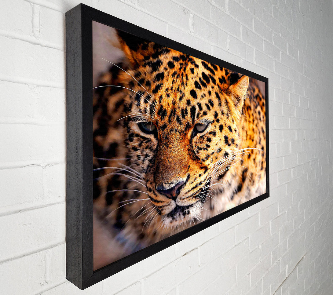  A Canvas Print of Leopard Close Up Canvas Wall Art