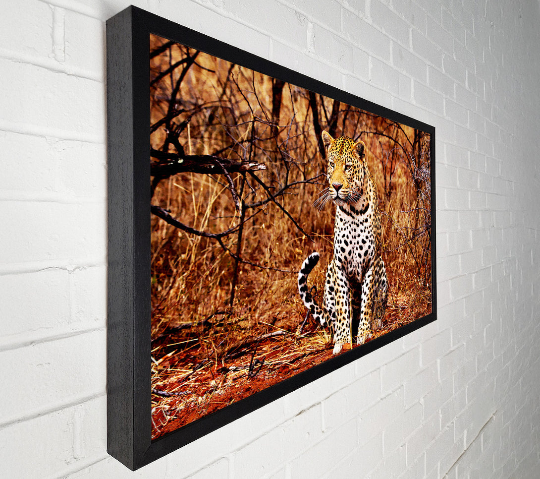  A Canvas Print of Leopard Hunt Canvas Wall Art