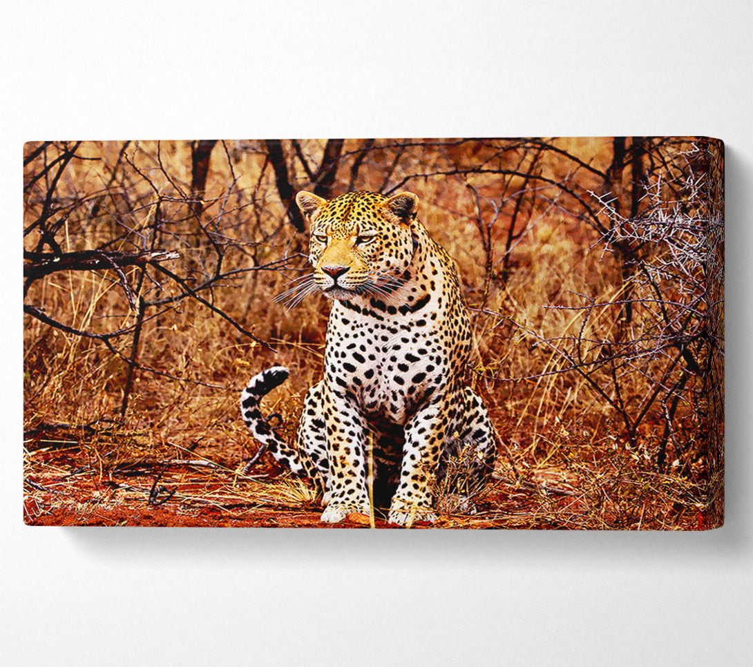  A Canvas Print of Leopard Hunt Canvas Wall Art