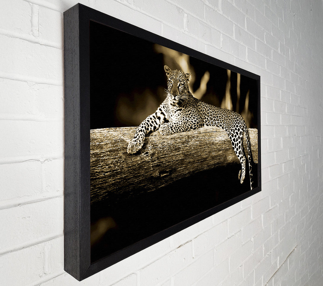  A Canvas Print of Leopard Lazy Days Canvas Print
